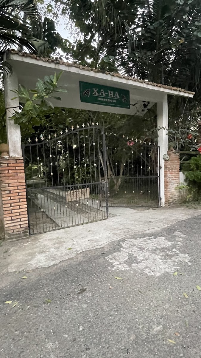 Xa Ha Suites