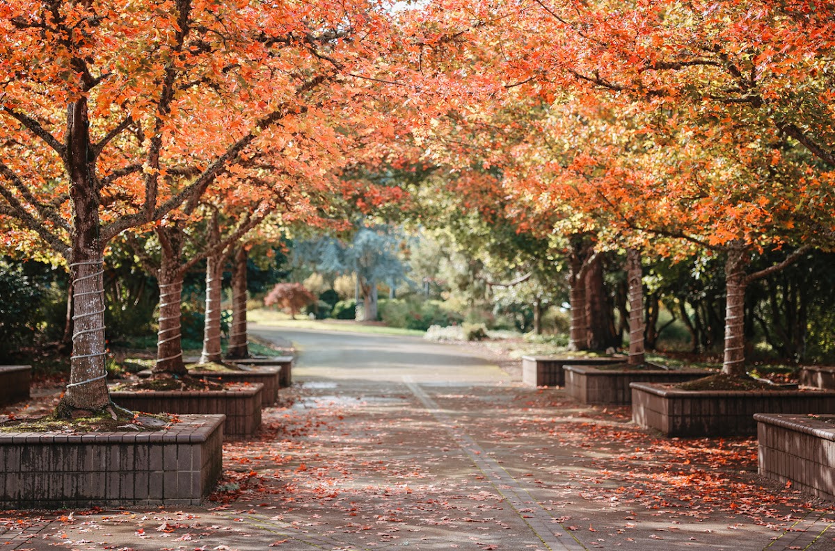 The Oregon Garden