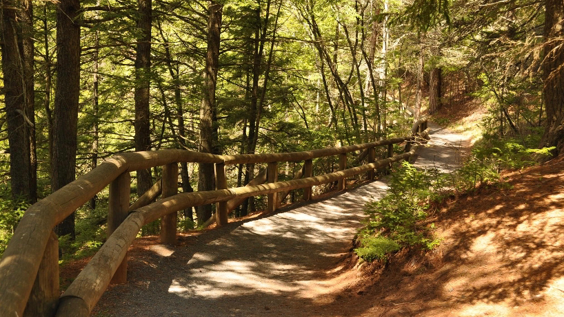 Victoria Park