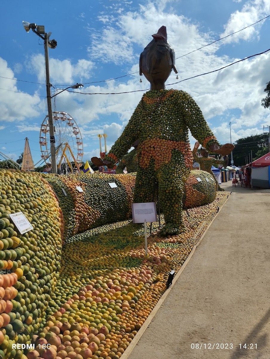 Feria de la naranja