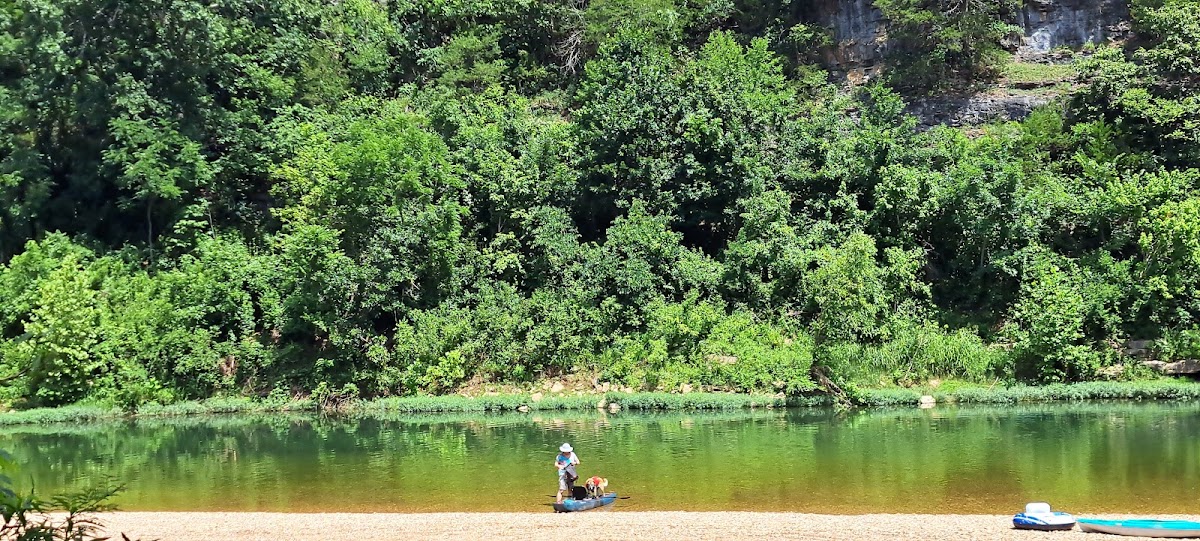 Dillard's Ferry