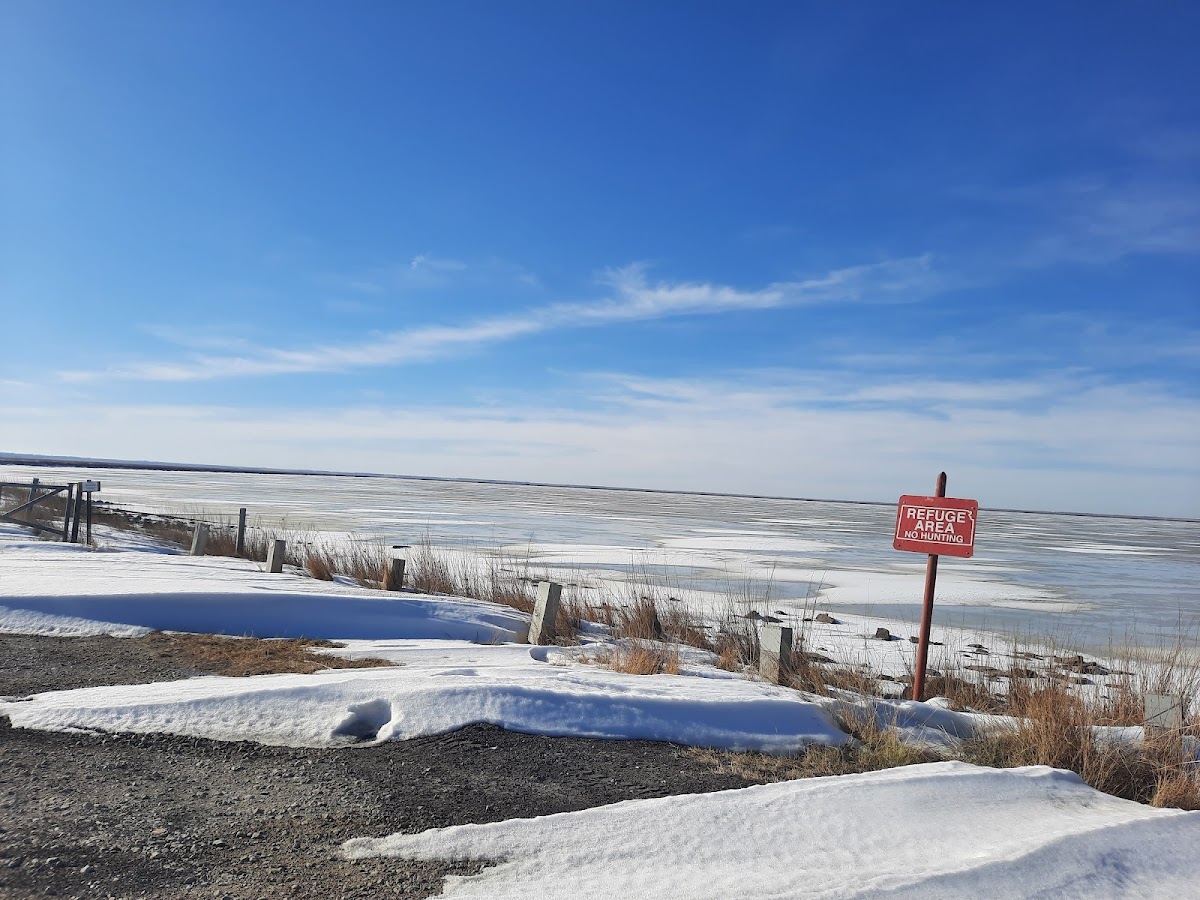 Cheyenne Bottoms