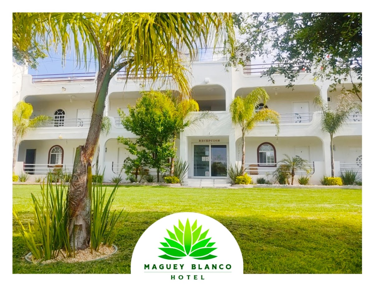 Hotel Maguey Blanco
