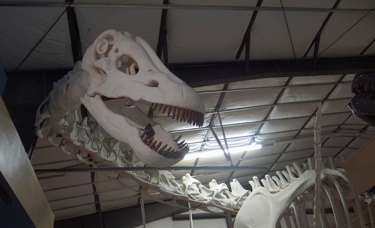 The Montana Dinosaur Center