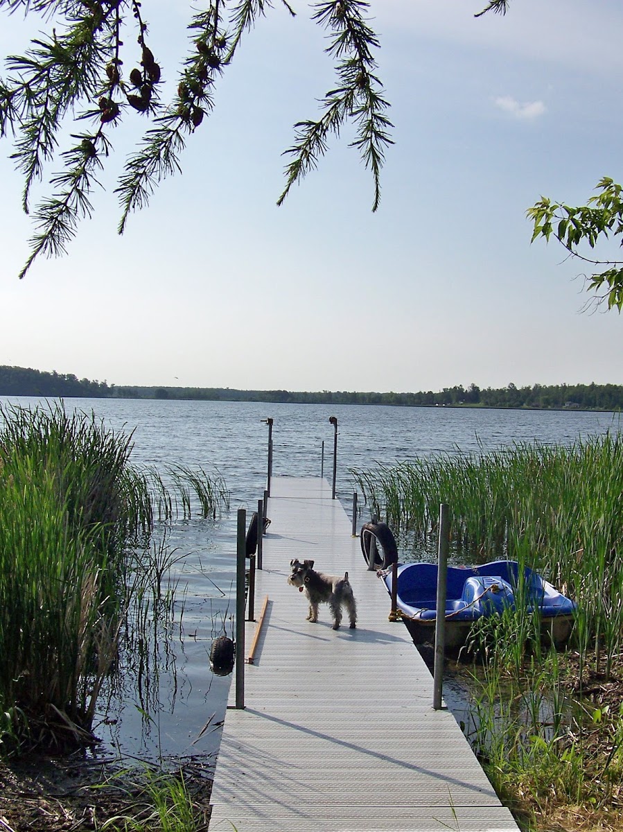 Blackduck Lake
