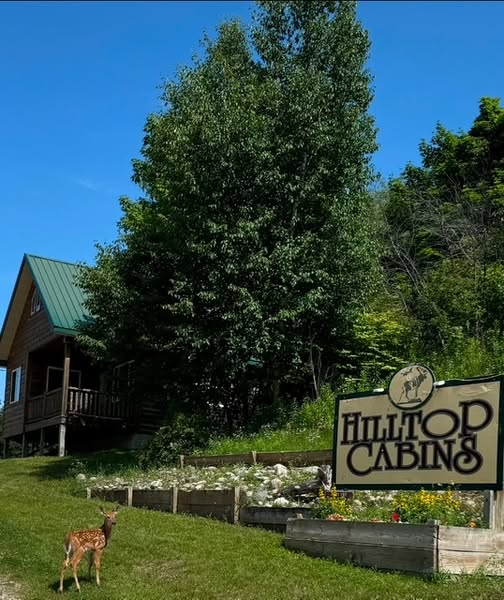 Hilltop Cabins