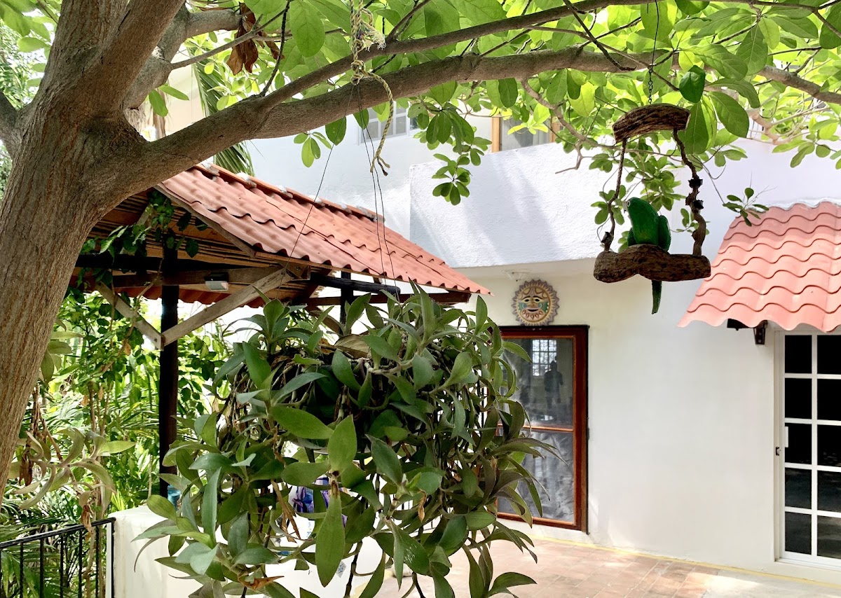Casa Il Tucano - Villa Colibrí