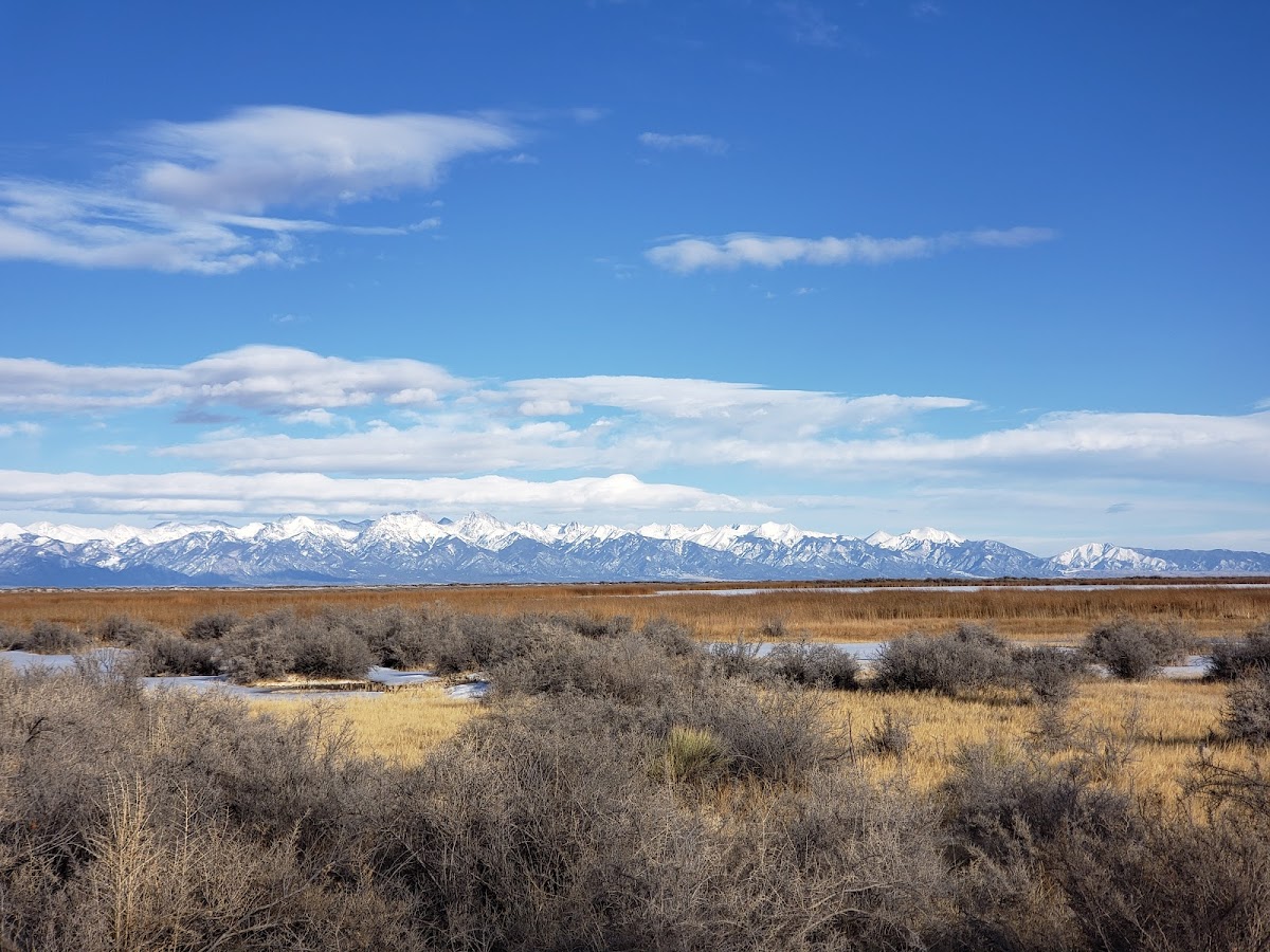 Russell Lakes State Wildlife Area