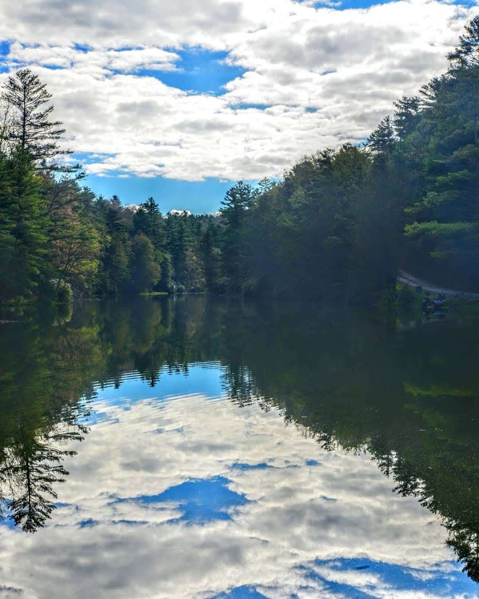 Seneca State Forest