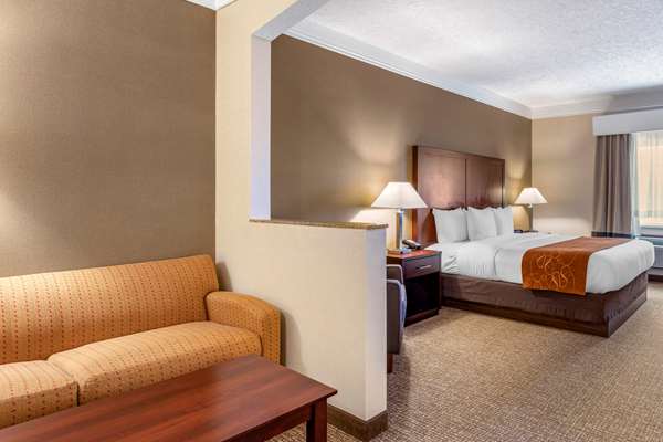 Comfort Suites Linn County Fairground and Expo photo 2