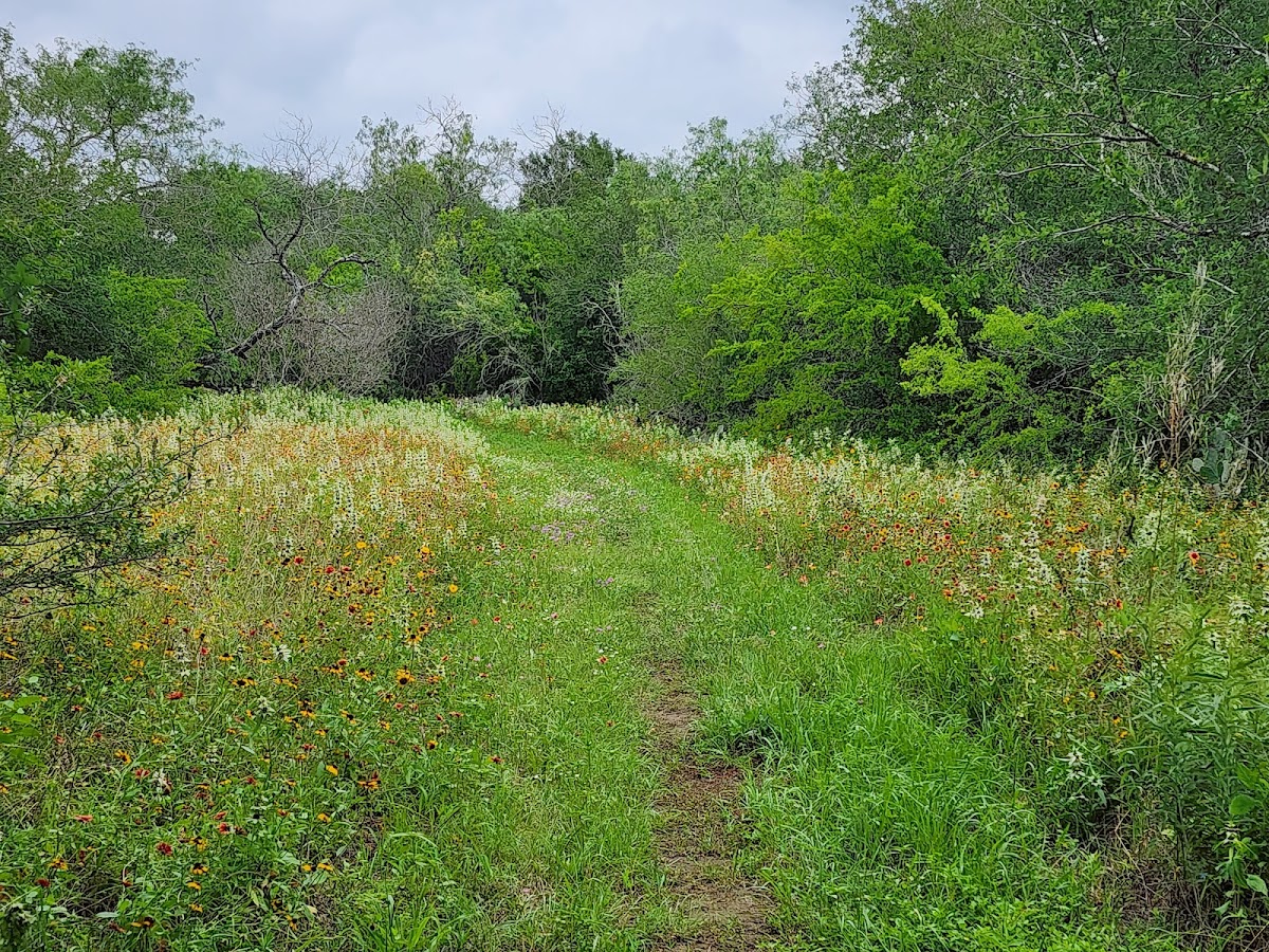Jackson Nature Park