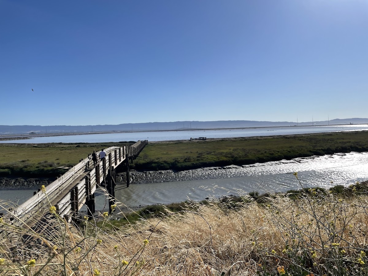 Don Edwards San Francisco Bay National Wildlife Refuge
