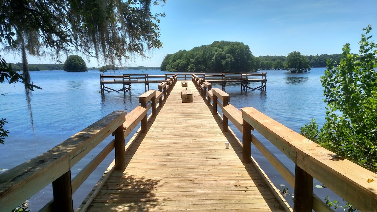 Lake Talquin State Forest