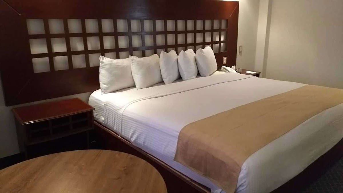 Best Western Toluca photo 3