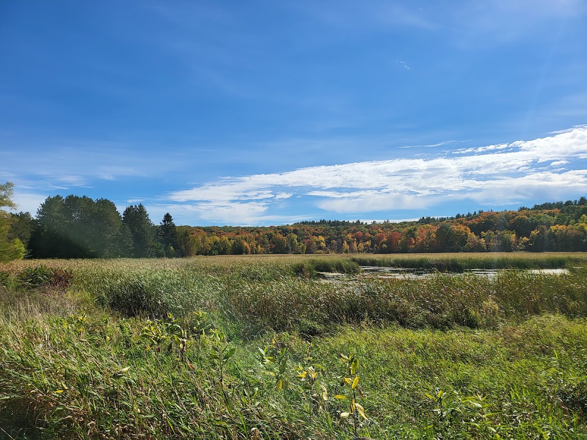 Saint John's Abbey Arboretum