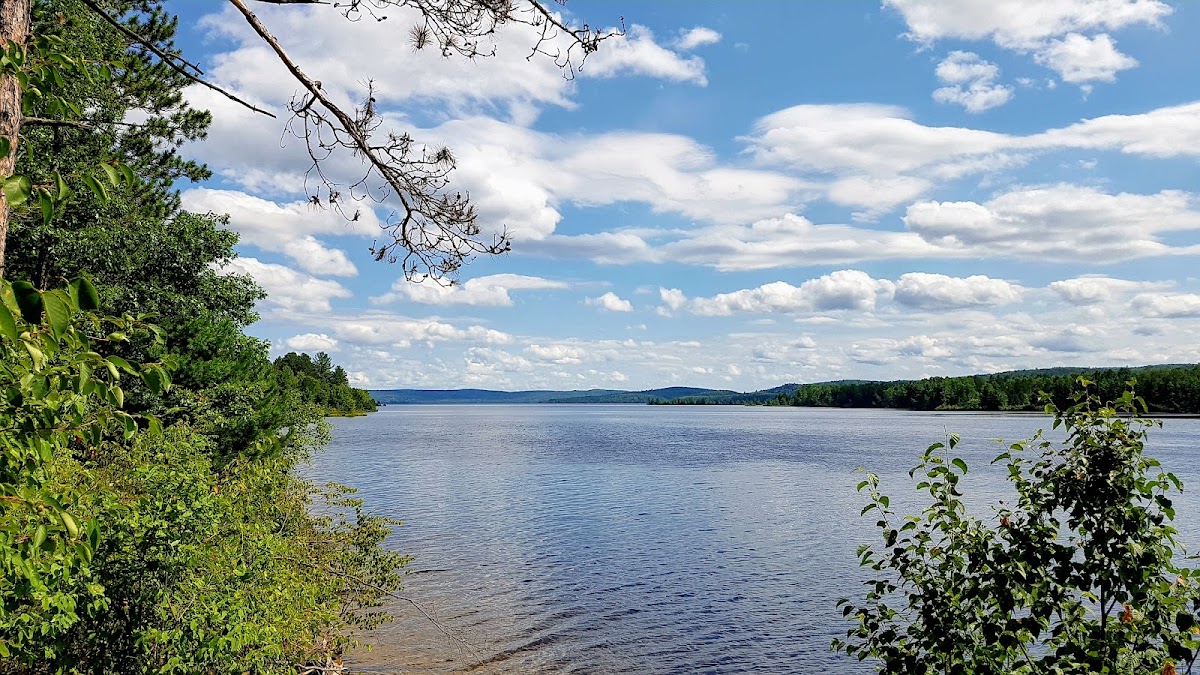Bark Lake