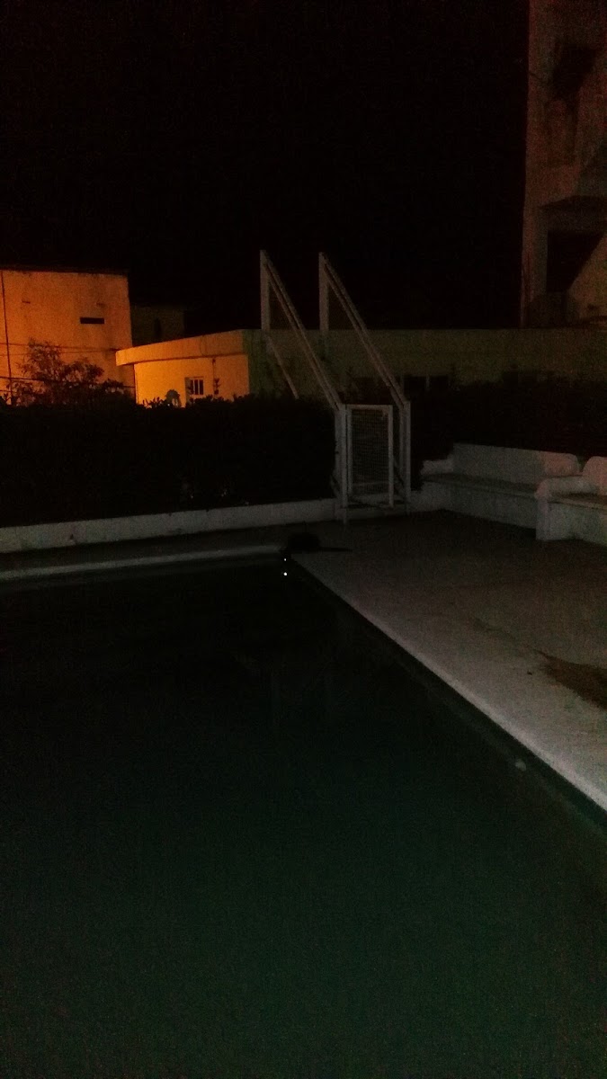 Hotel Veladero photo 3
