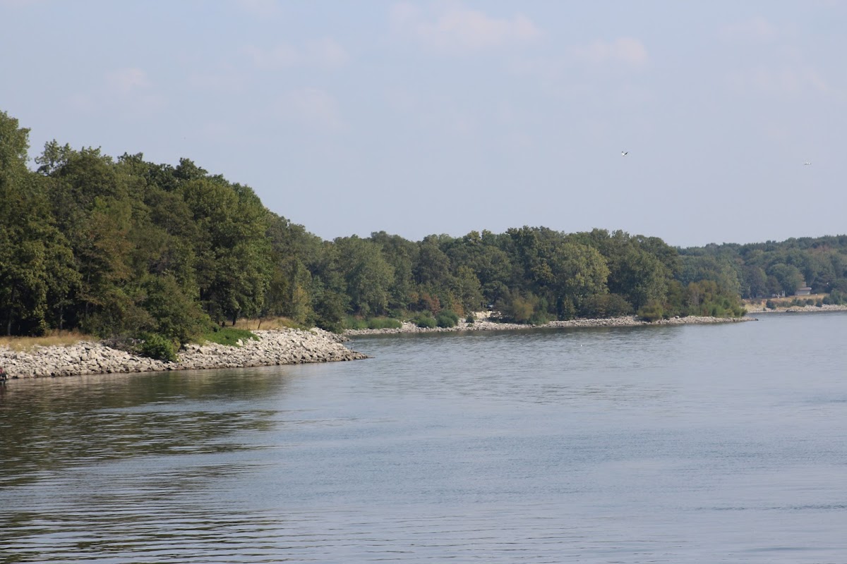 Carlyle Lake