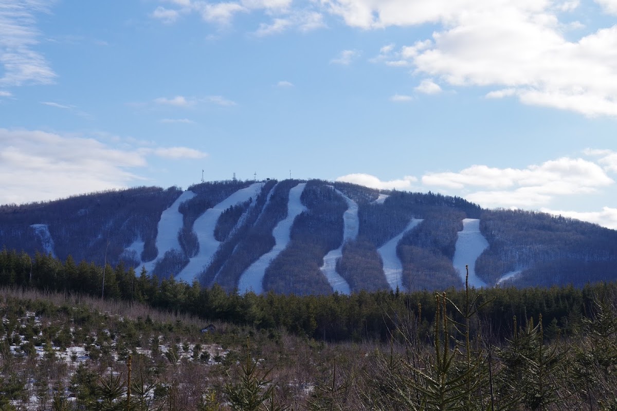Crabbe Mountain