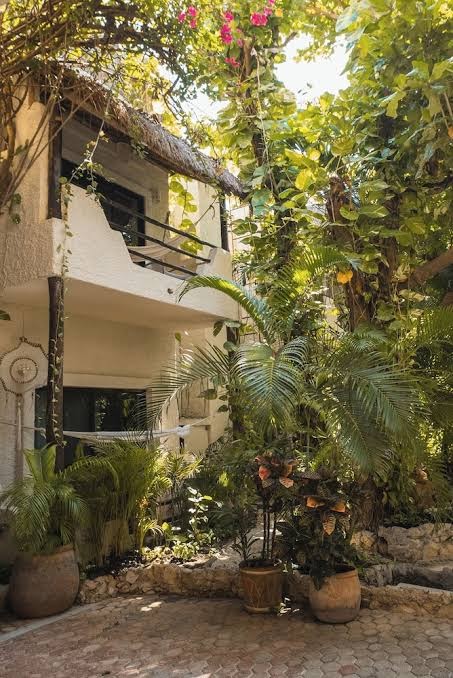 Hotel Casa Colibri photo 2