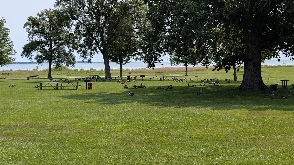 Lake Erie Metropark