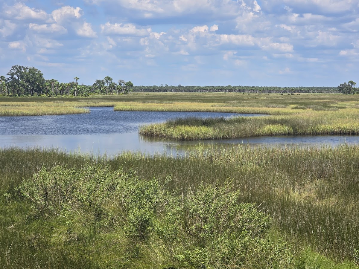 Big Bend Wildlife Management Area