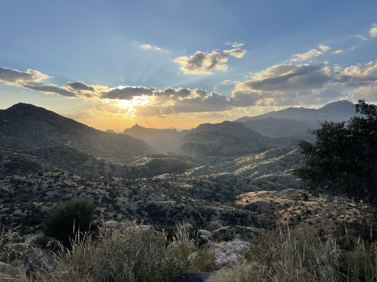 Mt Lemmon