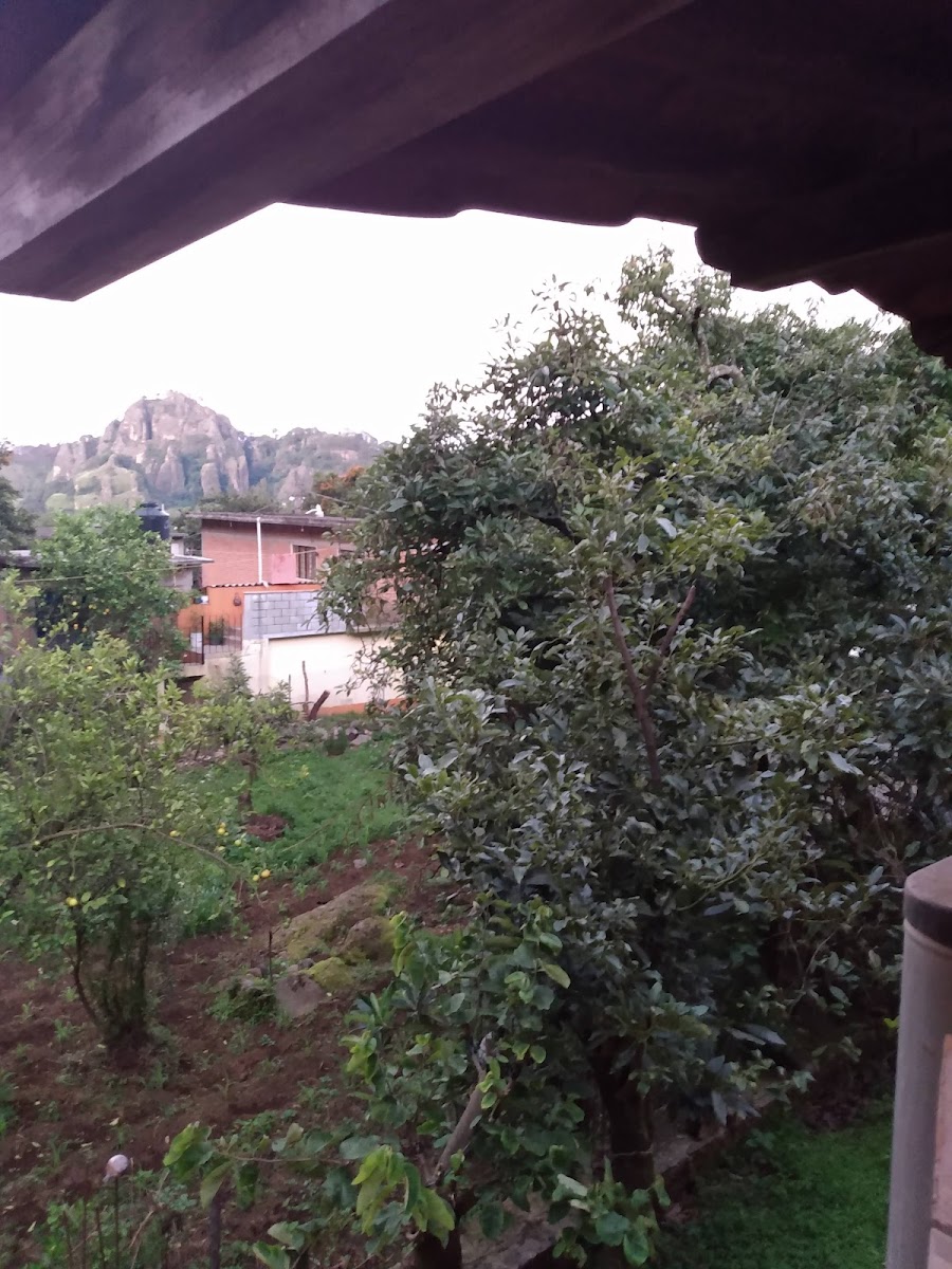 Hospedaje Xochitepetl photo 2