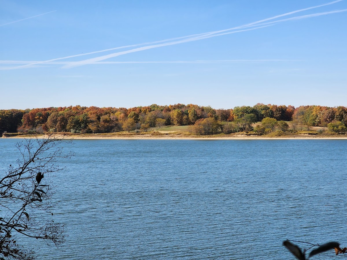 Lake Shelbyville
