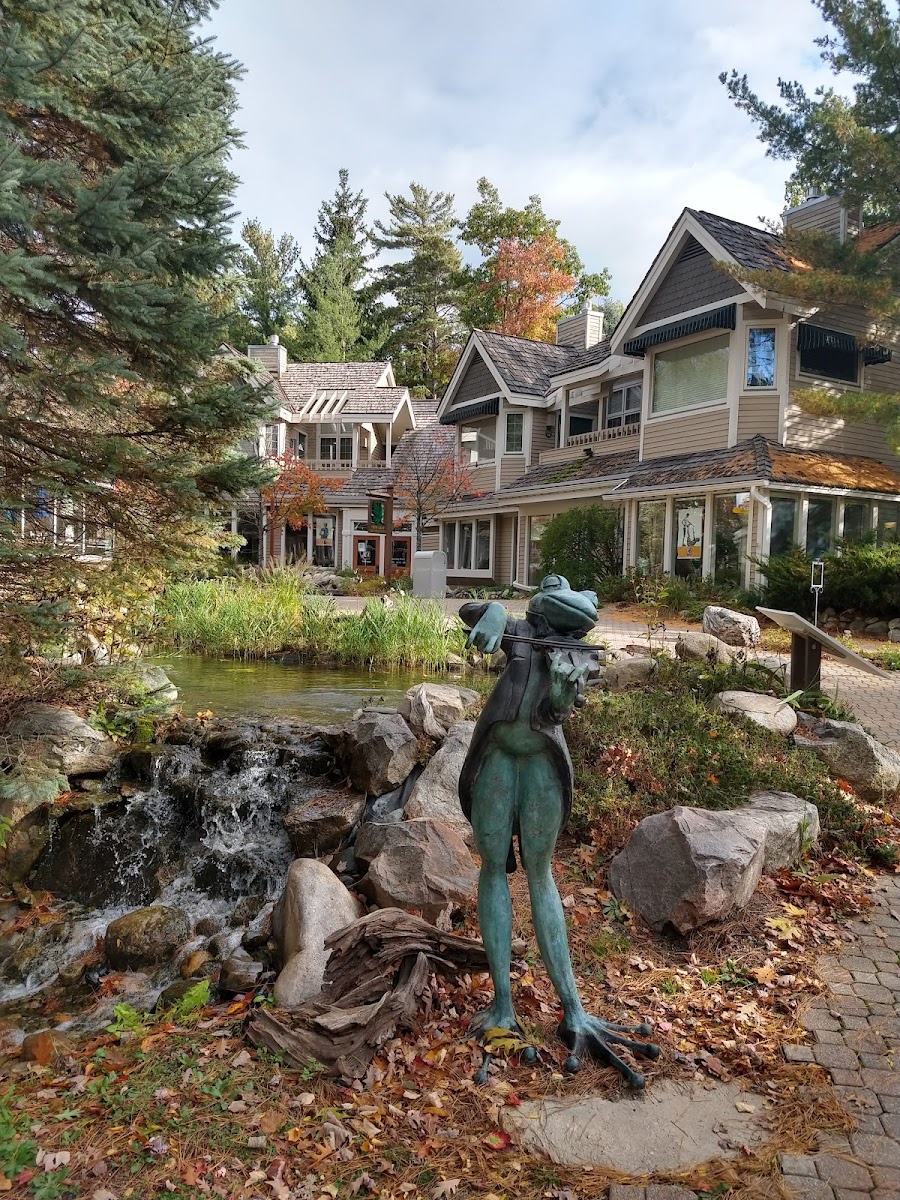 The Homestead photo 3