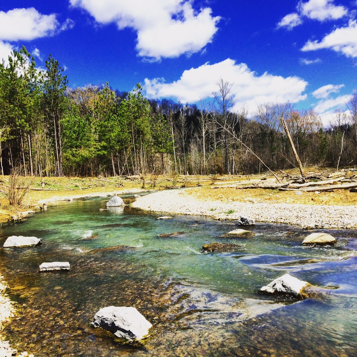 Wolf Creek National Fish Hatchery Visitor And Environmental Education Center