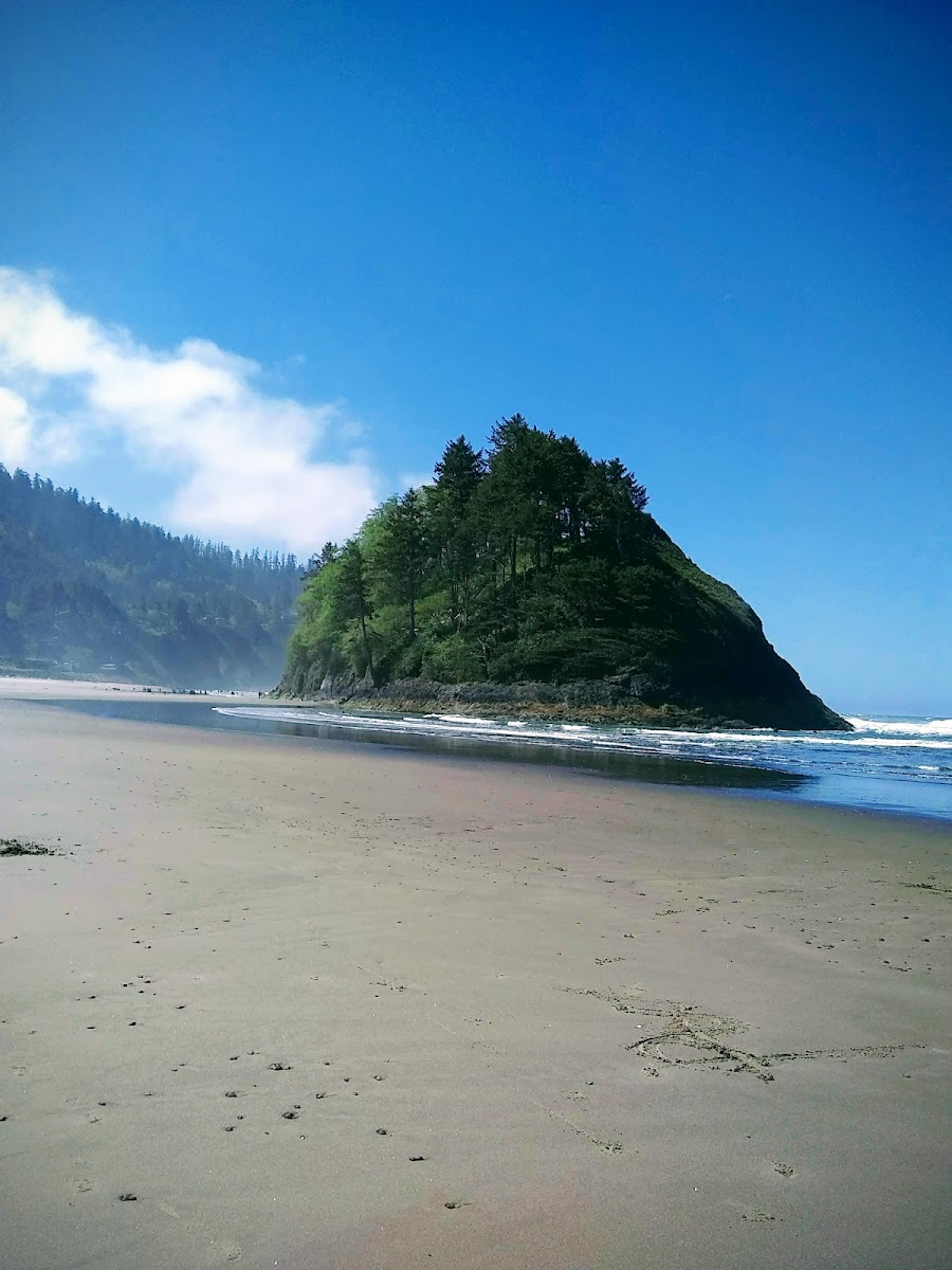 Neskowin Beach State Recreation Site