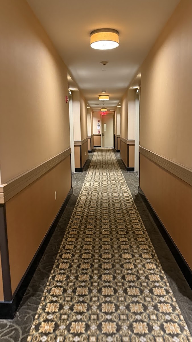 Opera House Hotel photo 3