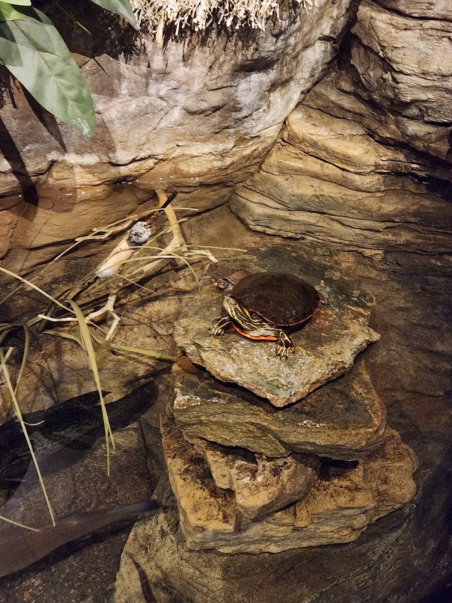 Great River Road Interpretive Center