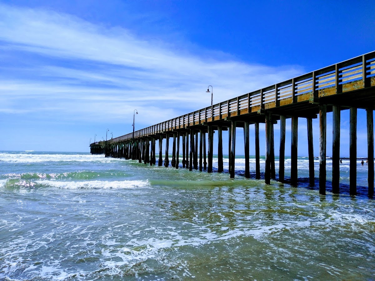 Cayucos State Beach
