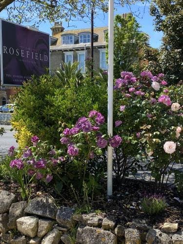 The Rosefield photo 3