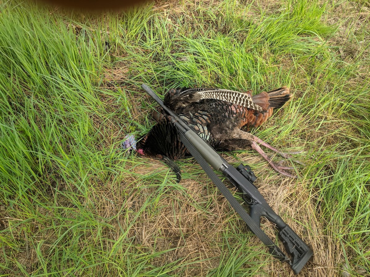 Wisconsin DNR Public Hunting Land