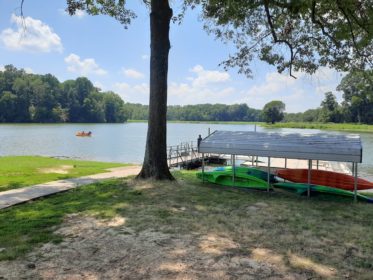 Poplar Tree Lake