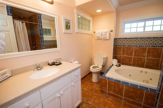 Tropic Isle at Anna Maria Island Inn photo 3