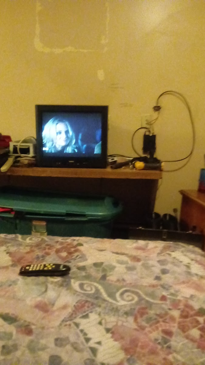 Airline Motel photo 3