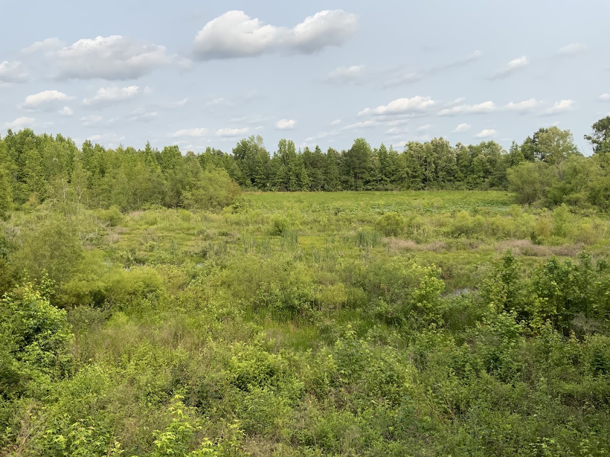 Eufaula National Wildlife Refuge