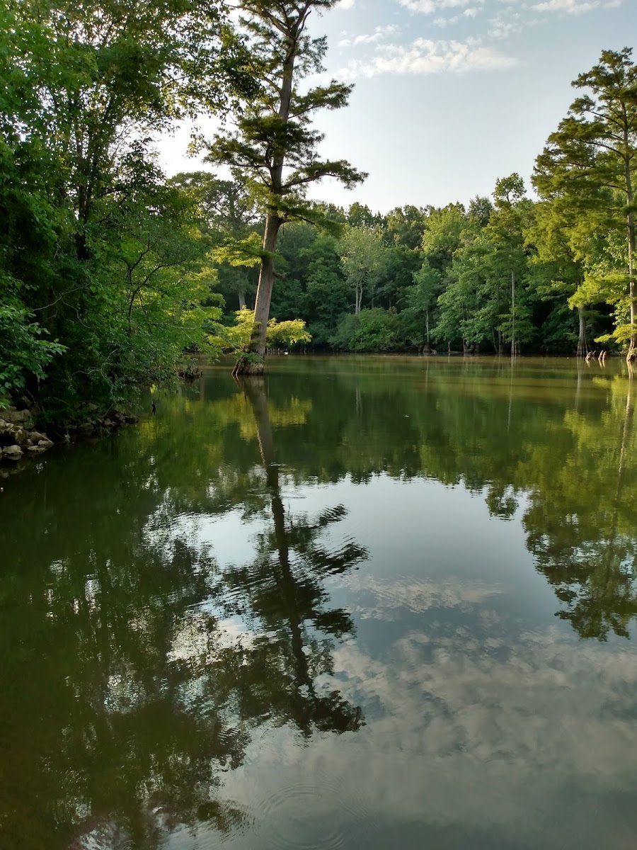 Dave Donaldson Wildlife Management Area