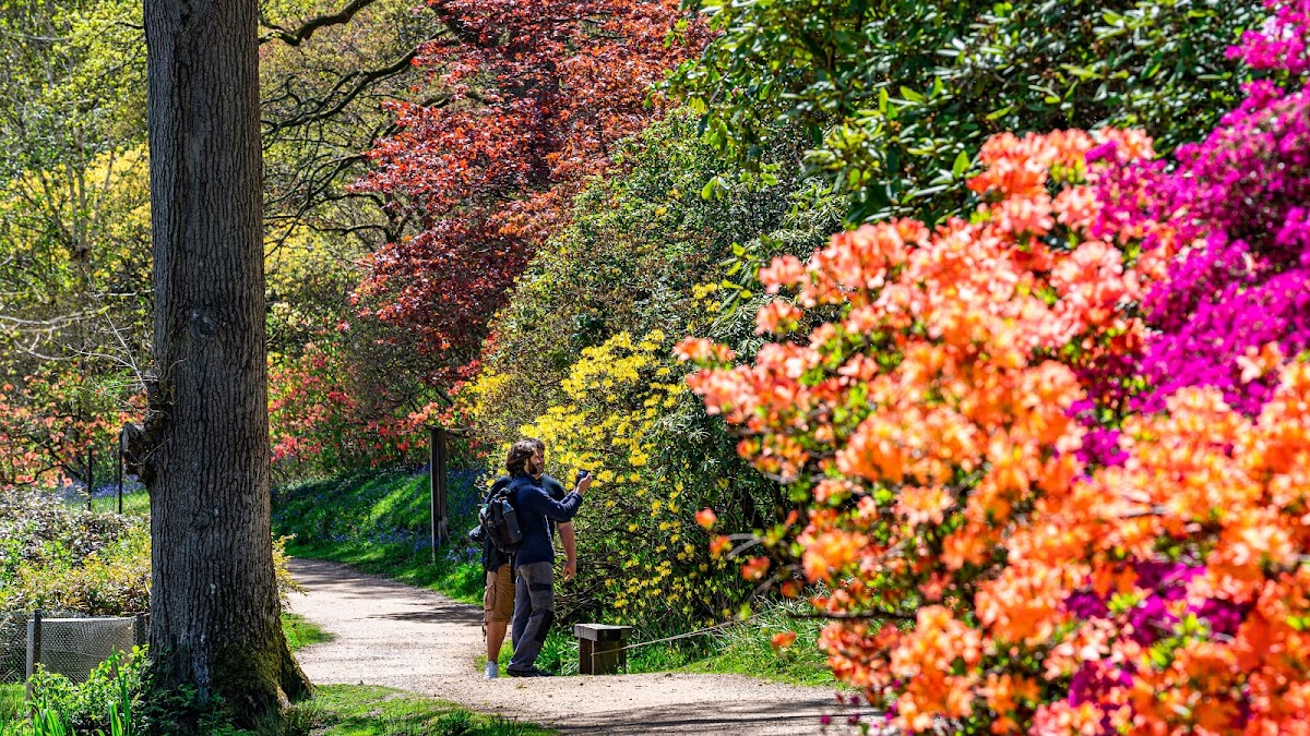 Leonardslee Lakes & Gardens