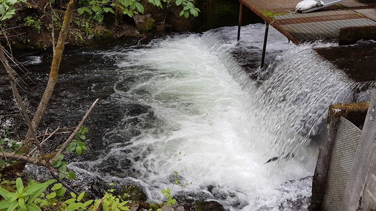 Bear Creek Weir