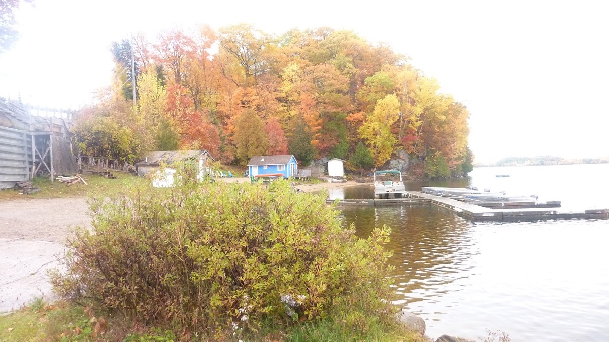 Silver Springs Cottage Resort photo 3