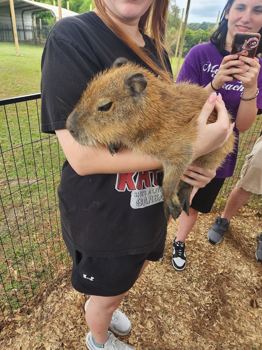 Parkton Animal Oasis