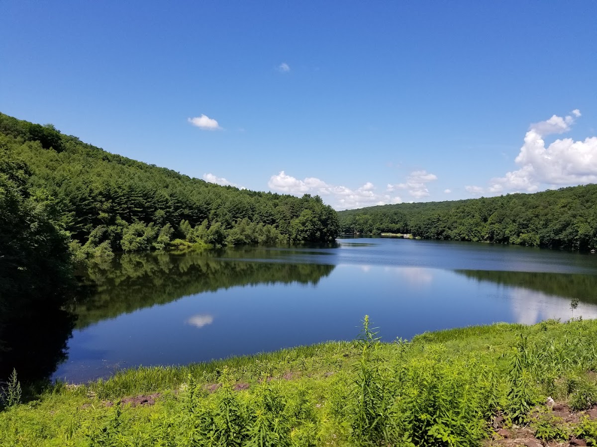 Tuscarora State Park