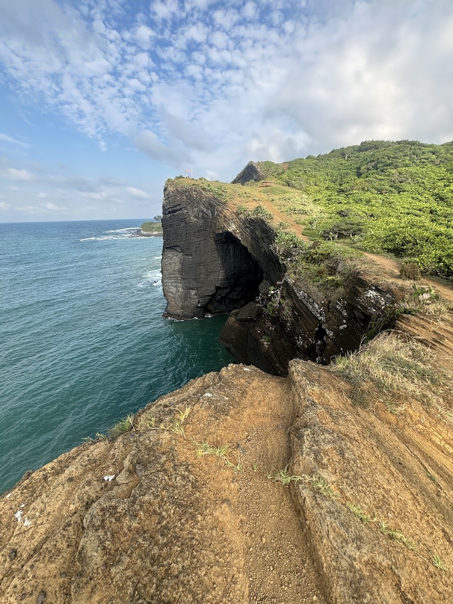 Acantilados Punta Roca Partida