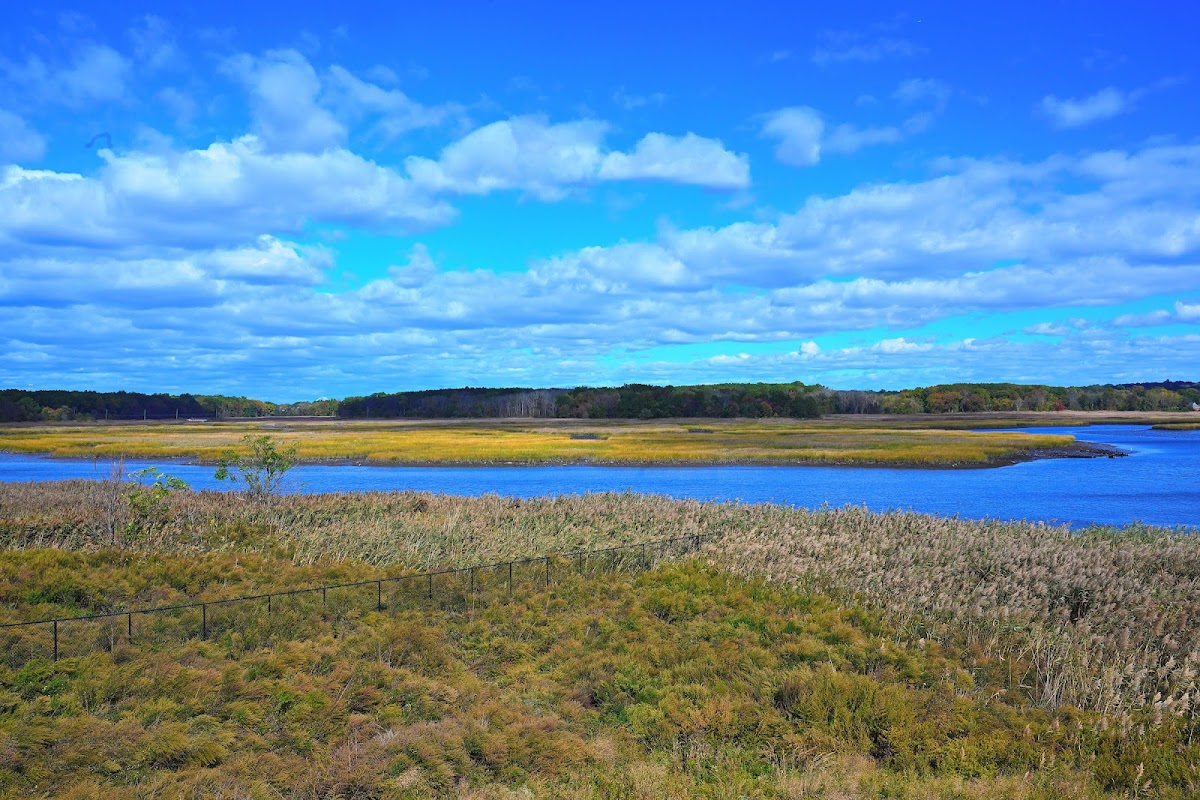 Freshkills Park