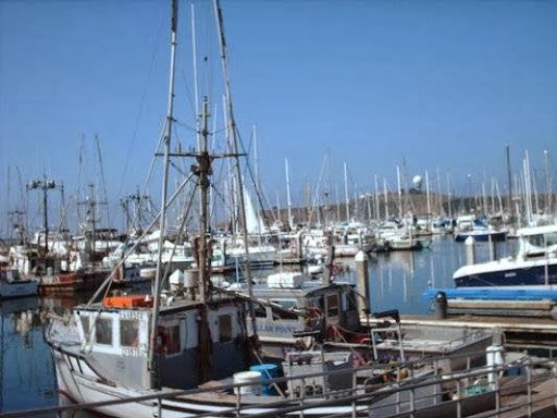 Ocean View Inn photo 3